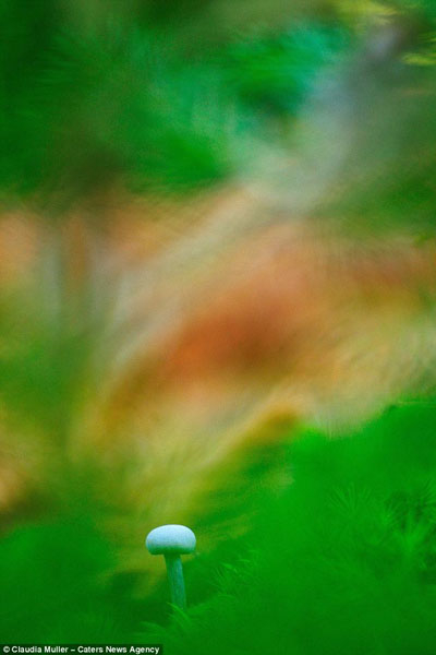 a12-jpg-1355393832-1355395006_500x0.jpg